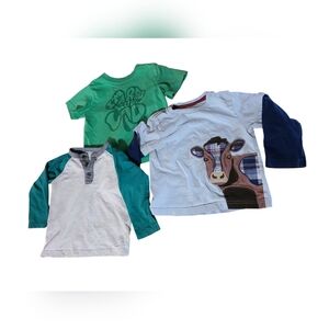 BOGO: Boys Shirt Bundle/St Patty's and Cow theme
